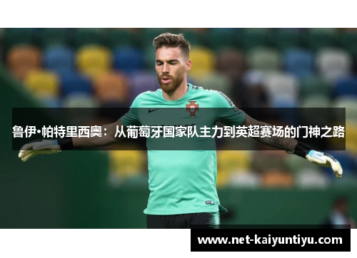 鲁伊·帕特里西奥：从葡萄牙国家队主力到英超赛场的门神之路