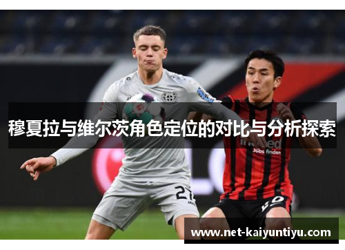 穆夏拉与维尔茨角色定位的对比与分析探索