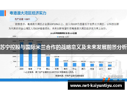苏宁控股与国际米兰合作的战略意义及未来发展前景分析 苏宁控股与国际米兰合作的战略意义及未来发展前景分析